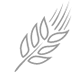 Wheat Sorting Icon
